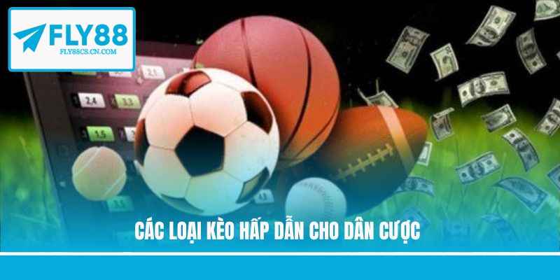 Các loại kèo hấp dẫn cho dân cược