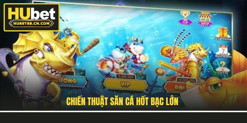 Chiến thuật săn cá hốt bạc lớn